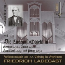 Die Ladegast-Orgeln Vol. 6